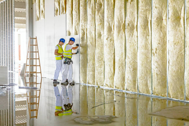 Best Cellulose Insulation  in Hillsboro, OH